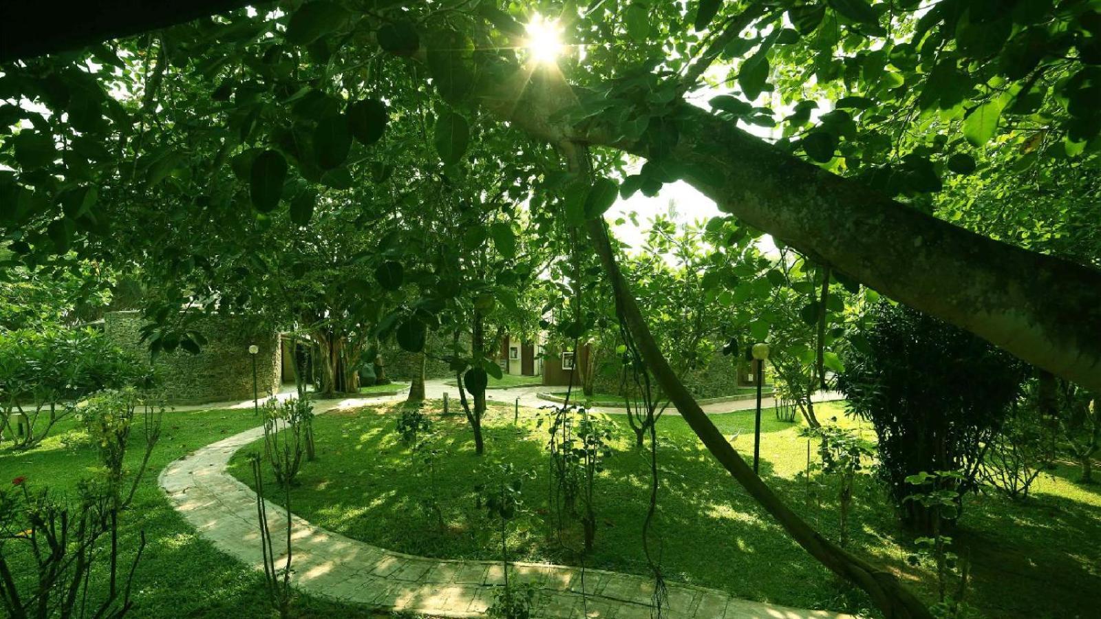 Siddhalepa Ayurveda Resort - All Meals, Ayurveda Treatment And Yoga Wadduwa Exterior photo